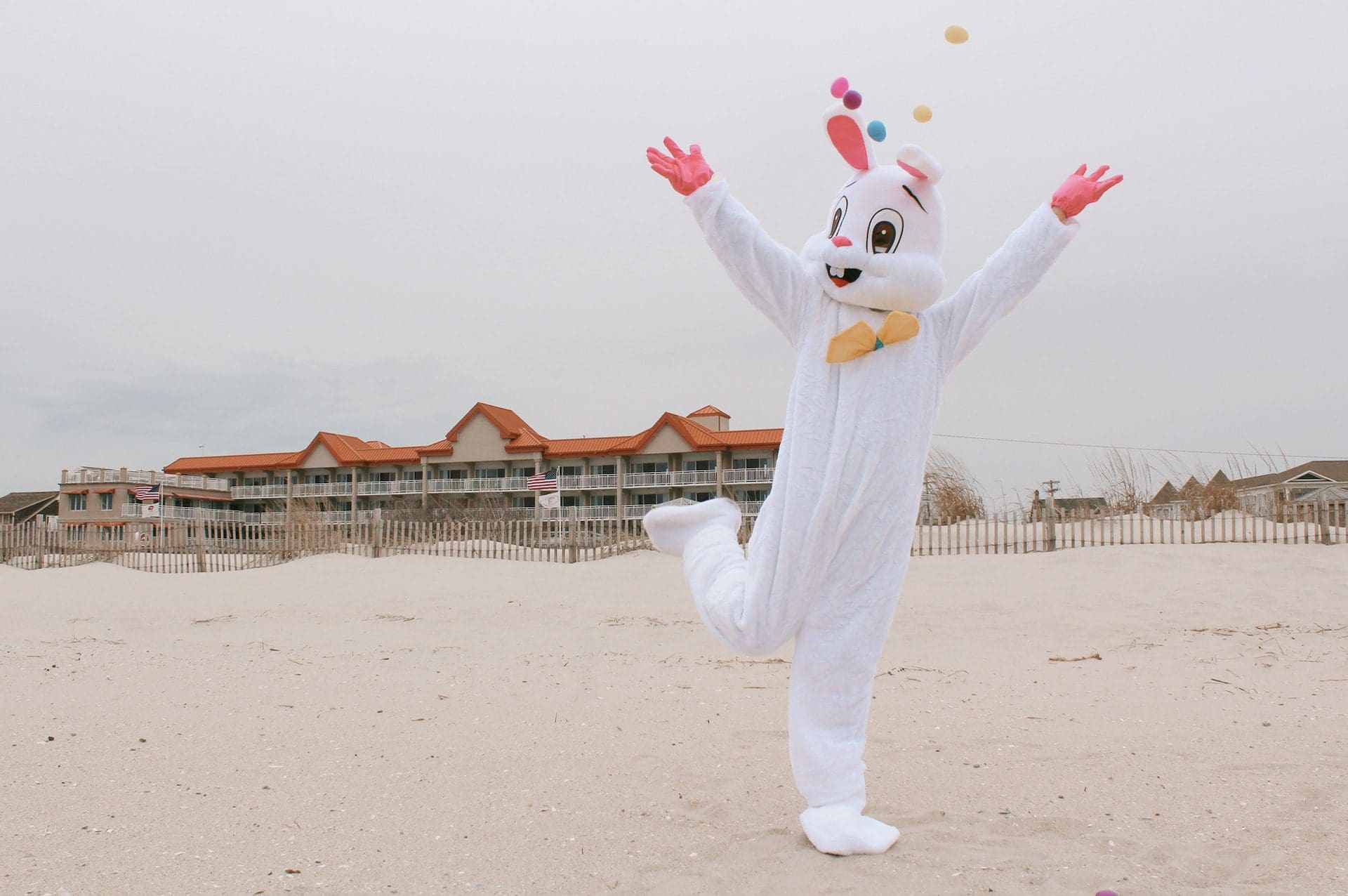 NEW Cape May Spring Happenings at Harry’s