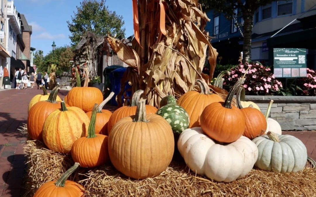 Your Perfect Fall Guide for Cape May, NJ