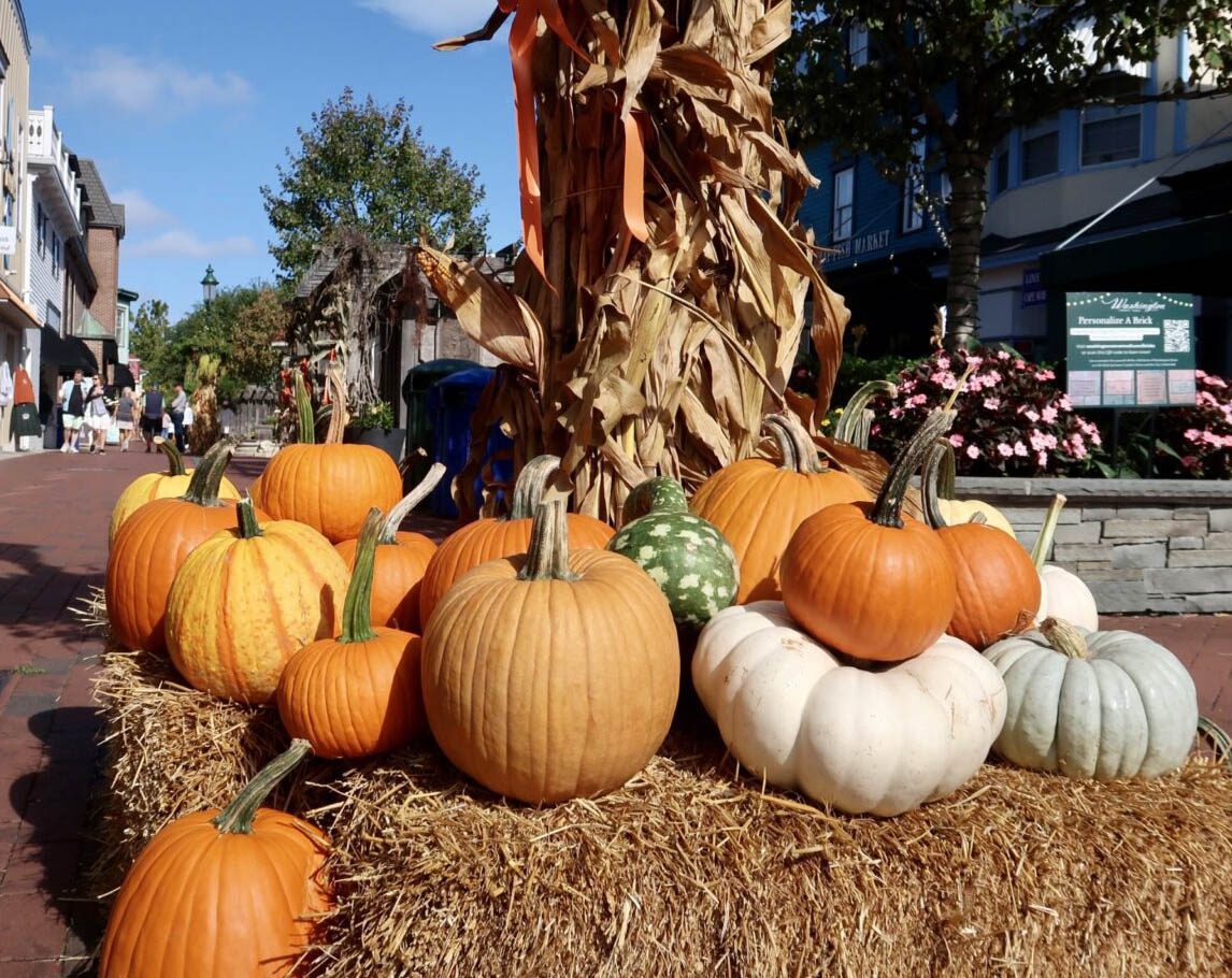 Halloween events in Cape May NJ. Harry's Ocean Bar & Grille Boo bar. Most fun in Cape May.